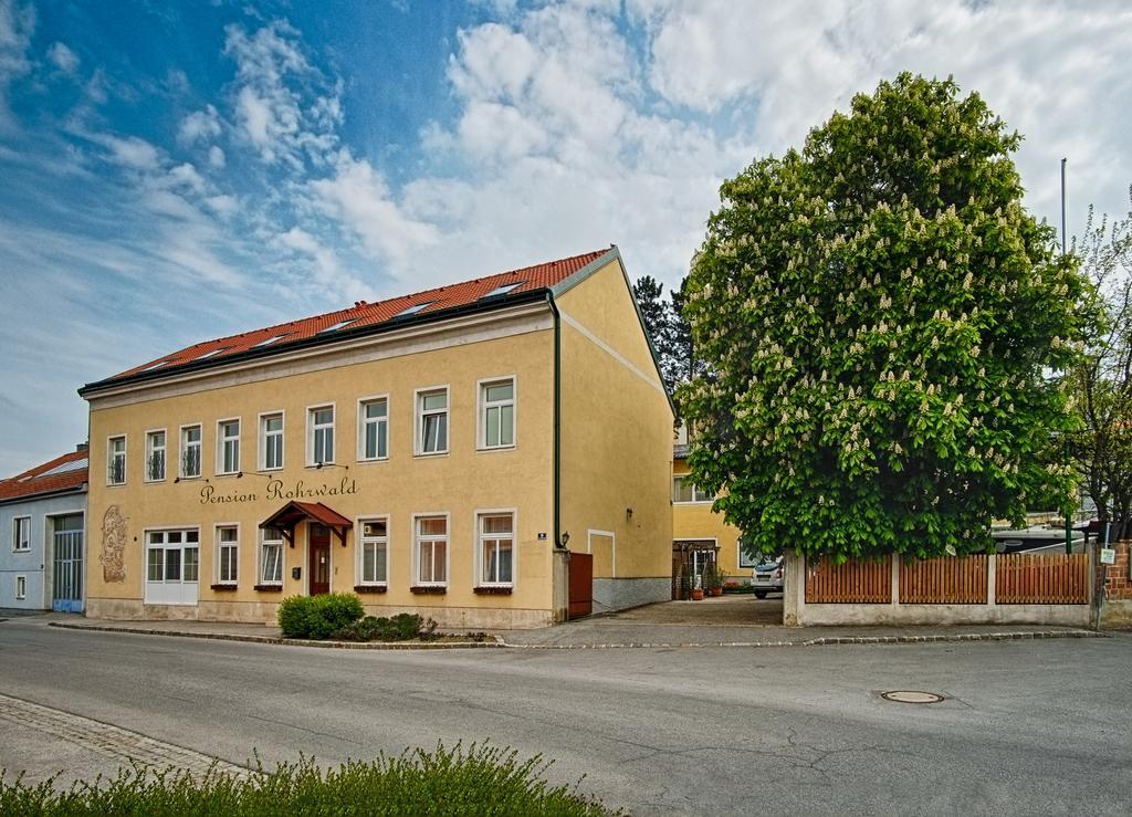 Pension Rohrwald Oberrohrbach Exteriör bild